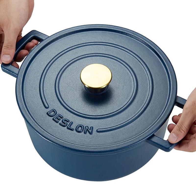 DESLON Multi-purpose Enamel Cast Iron Pot