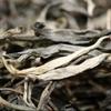 Jarní syrový čaj Puerh 2020 ''Dort Gong Dragon Beard'' Starověký strom Sheng Puerh Tea 357g