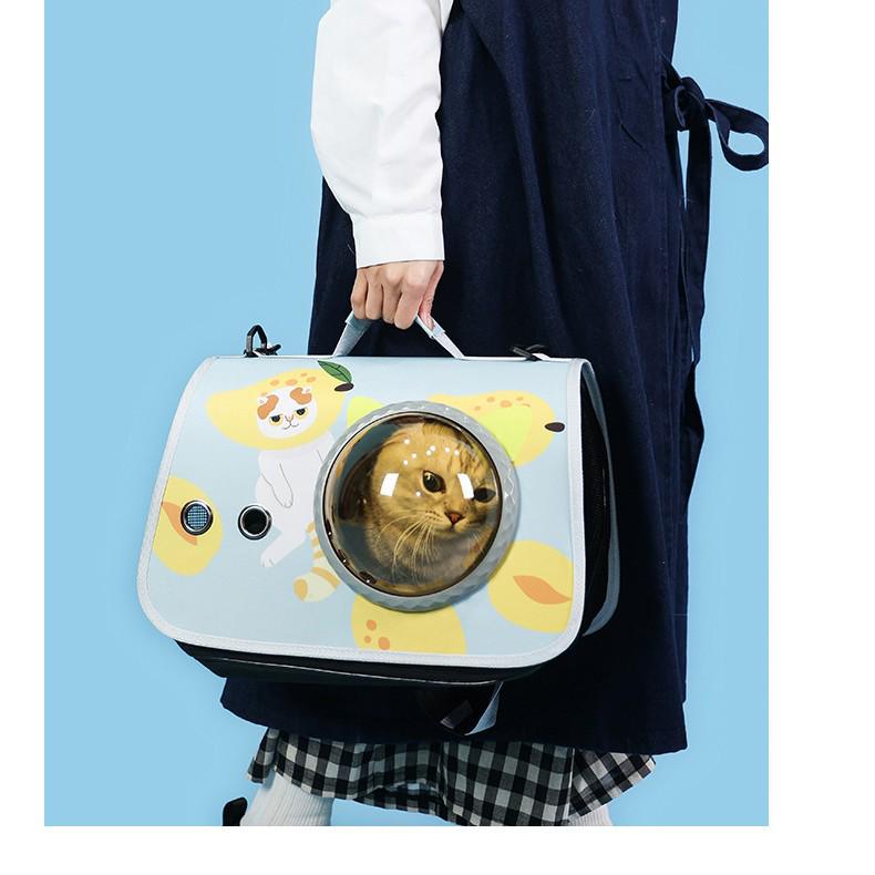 Portable Space Capsule Pet Carrier Backpack (For Cats and Dogs)