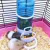 Dish Bowl Rabbit Dispenser Food Bottles Hamster Feeder Water Drinker Dispenser Automatic Drinker
