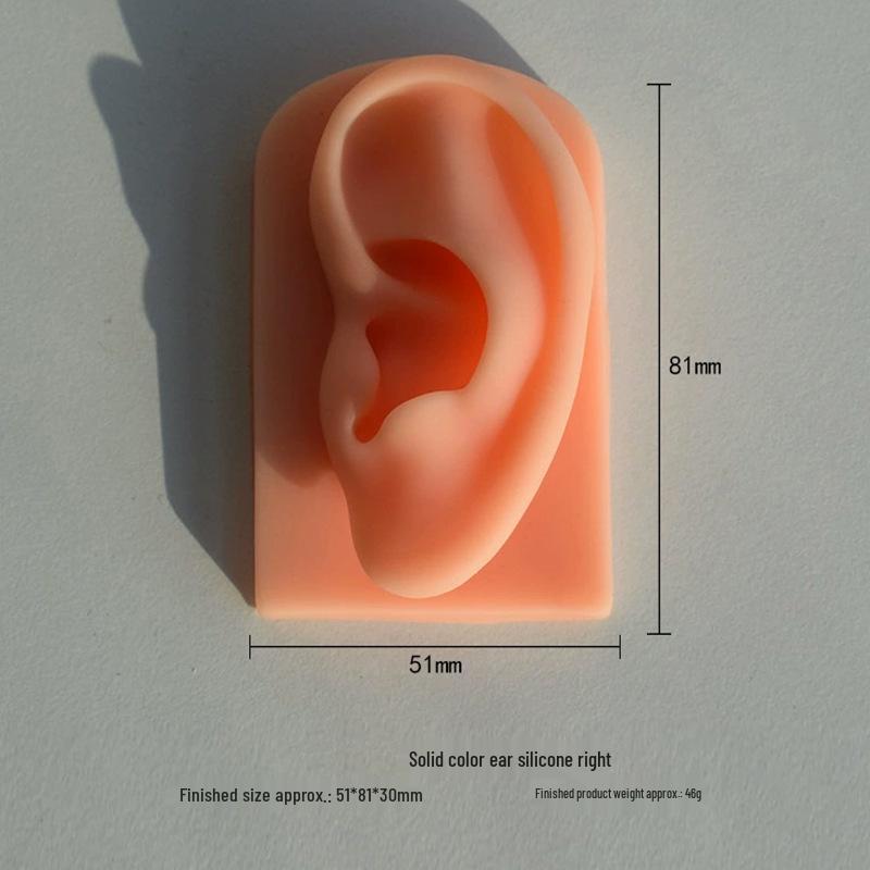 Silicone Ear Model for Piercing Jewelry Display