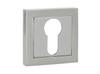 Short Square Sign Insert 50 Roy