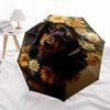 Flower Crown Dachshund Theme 8 Bone Hand Automatic Folding Fashion Umbrella, Compact and Portable Design, A Perfect Gift for Birthday, Chris