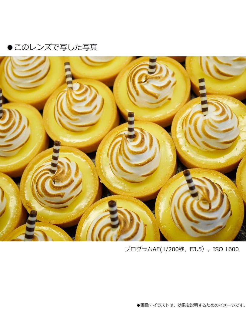 Panasonic Single Focus Macro Lens for Micro Four Thirds Lumix G MACRO MEGA Black 30mm/ F2.8 ASPH. / O.I.S. H-HS030