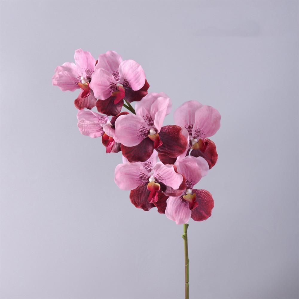 Plastic Phalaenopsis Branch Moisturizing Real Touch Orchids Simulation Flower  Office Decor