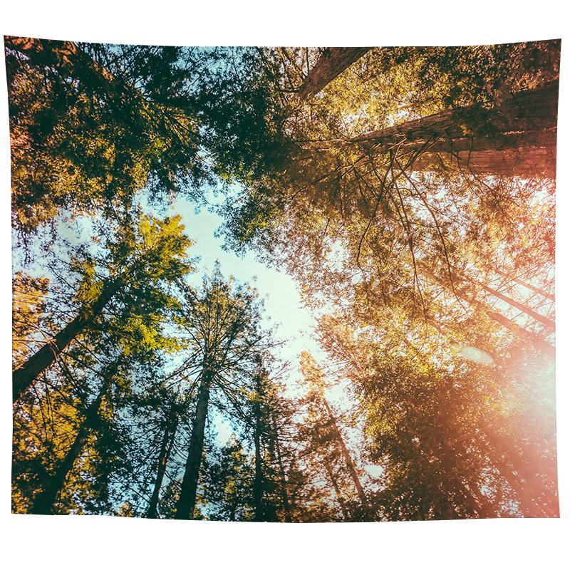Wall Hanging Tapestry Psychedelic Nature Mountain Seascape Fog Forest Landscape Printed  Living Room Bedroom Home Decor