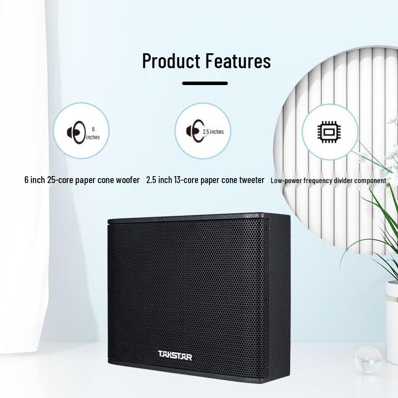TAKSTAR T6 Slim Professional Speaker (CN Version)