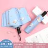 Fresh Umbrella Foldable Rain and Rain Dual-Use Sun-Proof UV-Proof Manual Automatic Sun Umbrella for Female Students