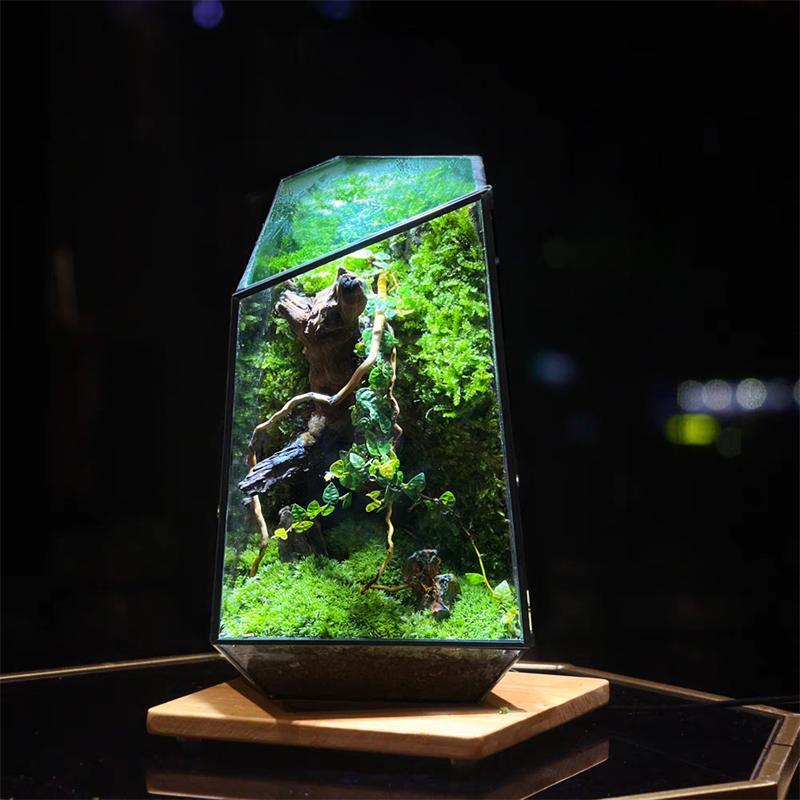 Quartz Shape Micro Landscape Glass Terrarium Moss Planter Tank Glass Flower Room Irregular Ecological Vase Geometric Terrarium