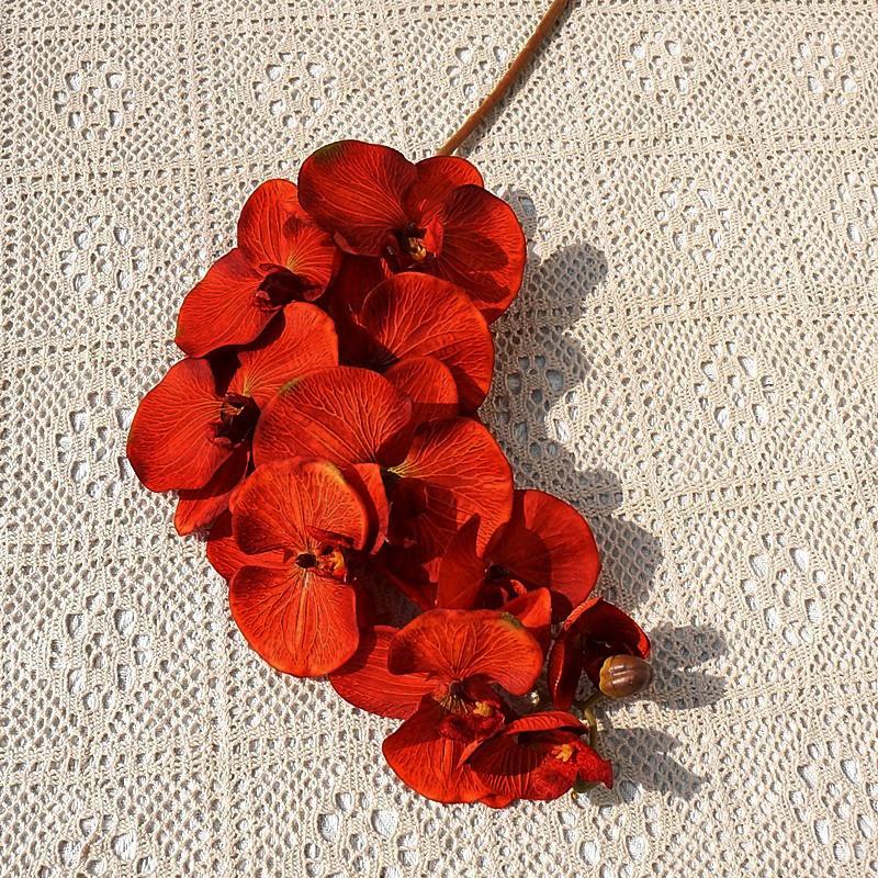 10-köpfige Phalaenopsis-Simulationsblumen, Phalaenopsis-Seidenblumen, Hochzeitsdekoration Fotografie-Requisiten