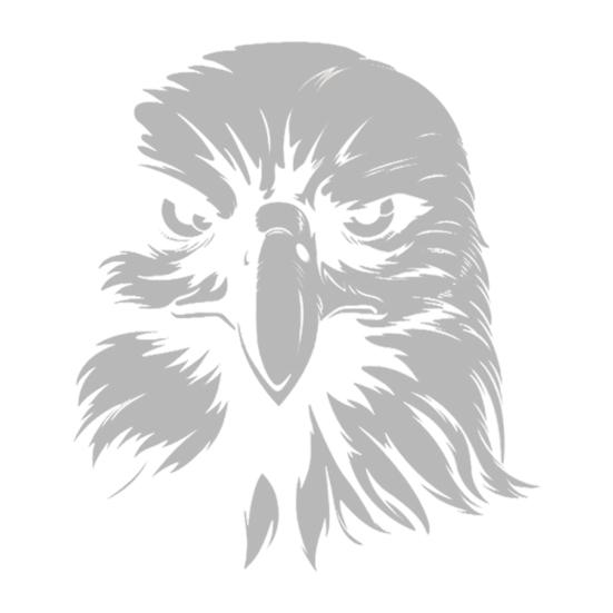 Patriotic Star Window Clings American Flag Stars Stickers PVC Static Window Decals for 4th of July Memorial Day Independence Day Home Office