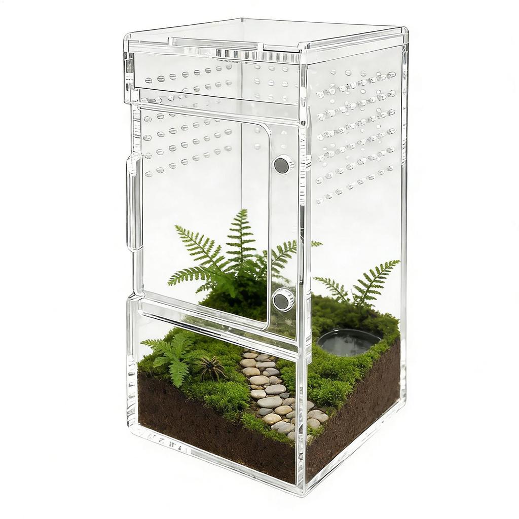 Jumping Spider Enclosure Clear Acrylic Reptiles Box with Vent Hole and Sliding Lid Spider Cage for Turtle Tortoise Snake Gecko