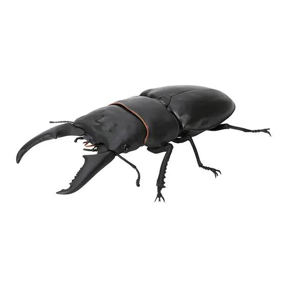 Genuine Gacha Scale Model Biological Cognitive Model Antler Beetle Simulated Moving Insect Action Figure Toys