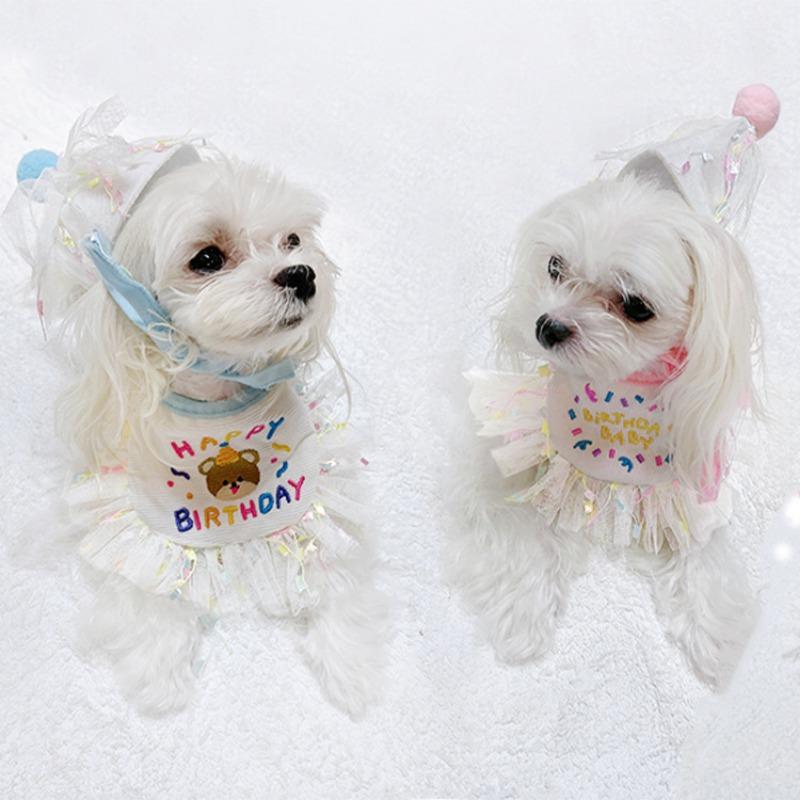 2 ADET Doğum Günü Aksesuarları Evcil Kedi Köpek Doğum Günü Partisi Atmosfer Seti Doğum Günü Şapkası Eşarp Köpek Önlüğü Salya Önlüğü File Evcil Hayvan Yavru Kedi Aksesuarları
