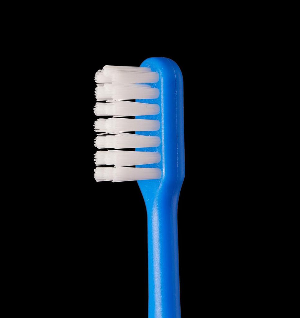 L Happy 12 Elementary Made In Junior Animal 12 APIS Children's Toothbrushes, Colors, Colors, Dentist-Recommended, Animal-Patterned, School, Japan,