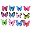 Single Layer Butterfly Wall Decor & Magnetic Fridge Magnets for Home & Garden