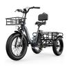 Triciclo Elettrico CBVELO C16 – 250W 48V 20.8Ah Pieghevole a 3 Ruote Cargo E-Bike