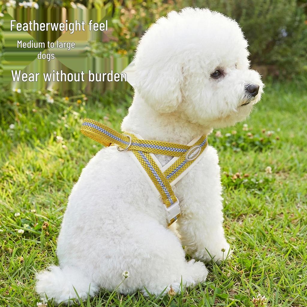 Saddle-Style Shock-Absorbing Dog Harness and Leash for Walking Bichon, Teddy, Corgi