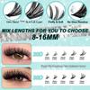 D Curl Cluster Lashes Book: 20D/30D/60D/80D Large Capacity False Eyelashes