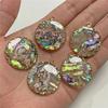 2pcs/Set New Natural Mother-of-pearl Shell Pendants Reiki Heal Charms for Summer Fashion Boho Jewelry Making Necklace Earrings