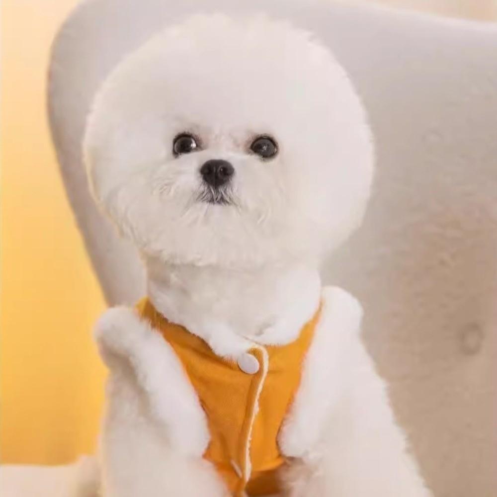 Plush Dog Warm Clothes Windproof Dog Vest Coat Fashion Pet Clothes for Small Medium Dog