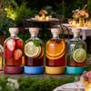 Inmeet Bar Professionelles 2-teiliges Tauchflaschen-Set Mehrzweck-Glasflasche mit Stopfen für Wein Saft Öl Haushaltsgebrauch