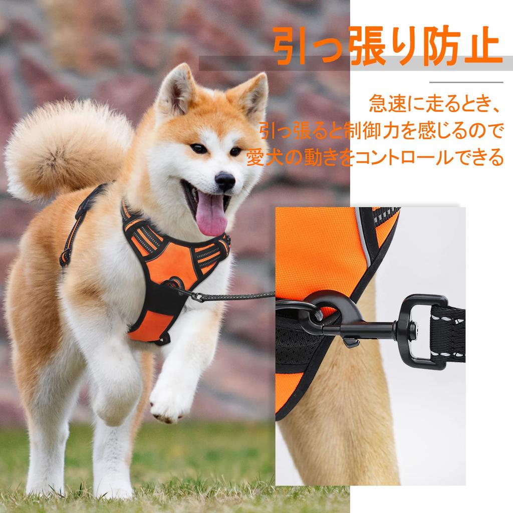 Rabbitgoo Dog Collar for Large Adjustable Night Reflective Stays Prevents Walking Assistance Elderly Care Small Medium Shiba Inu Harness, Dogs,