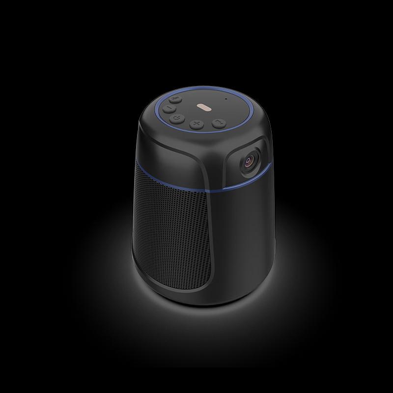 DAIPU DP-M800 Pro Video Conference Omnidirectional Microphone (CN version)