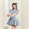 Summer Women's Vintage Sweet Dress French Style Gray Puff Sleeve Spring Dresses