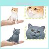 Pvc Realistic Cat Model For Kids Educational Toy And Home Decor