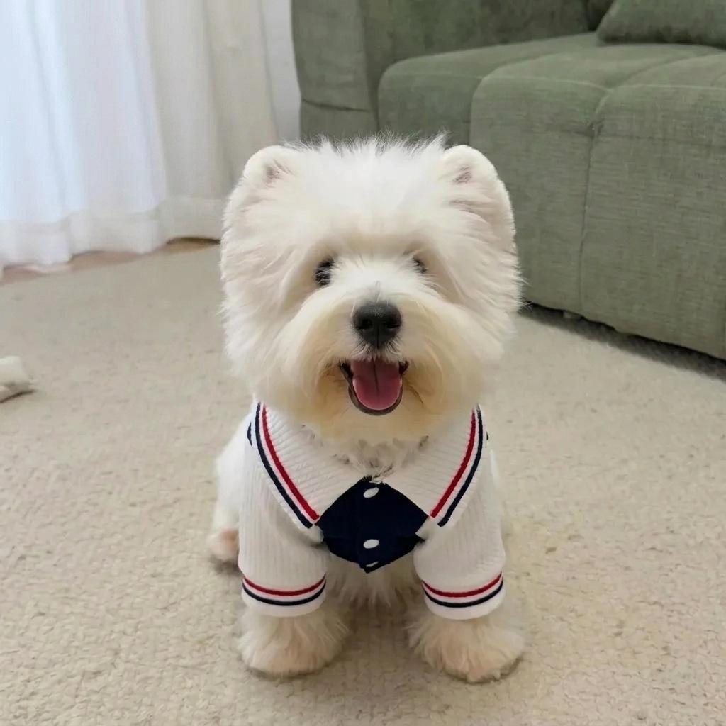 Autumn and Winter Pet Plush Warm Shirt Teddy Cat Dress Dog Coat Dog Clothes for Small Dogs Puppy Clothes