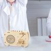 DIY Craft Wood Radio Material Set Wooden Scientific Training Experimental Kits  Science Education