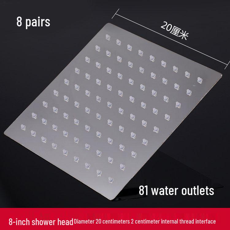 Hotel Bathroom Stainless Steel Rain Shower Head with Water Heater Nozzle