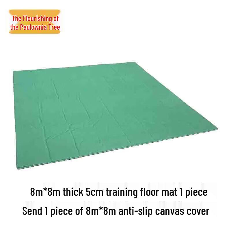 Zizhizheng Combat Training Mat