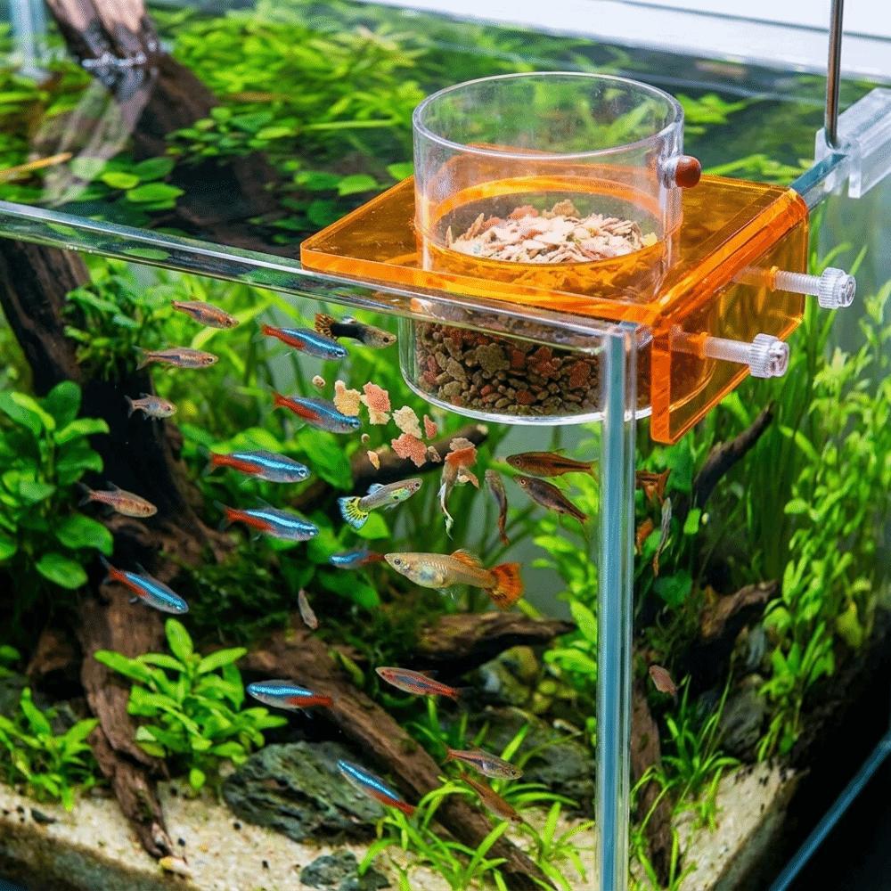 Transparent Fish Tank Feeder Plastic Fish Feeding Basin Aquarium Feeding Bowl  Food Dispensing
