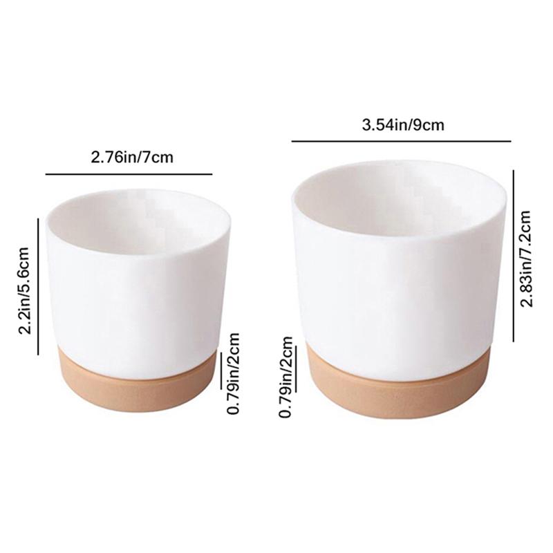 Květináč na sukulenty Dvouvrstvý Sukulent Zelená koprovka Malá zelená rostlina Květináč