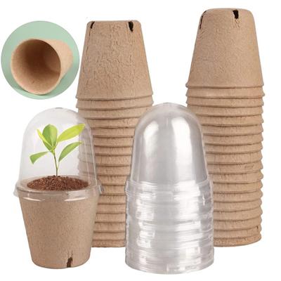 10Pcs Plant Nursery Pot Biodegradable Ventilation Holes See-through Dome Disposable with Lid Flower Germination Pulp Plant