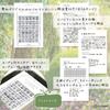 In a Tin Fairy Tale Lenormand Lenormand Cards with Japanese Instruction FLATLAND Authentic [Presented Case] Booklet. Product.