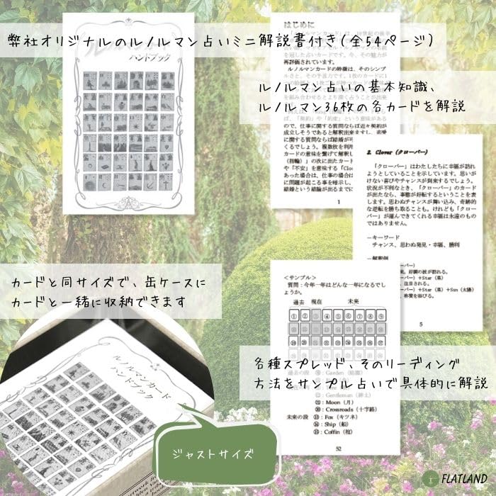 In a Tin Fairy Tale Lenormand Lenormand Cards with Japanese Instruction FLATLAND Authentic [Presented Case] Booklet. Product.