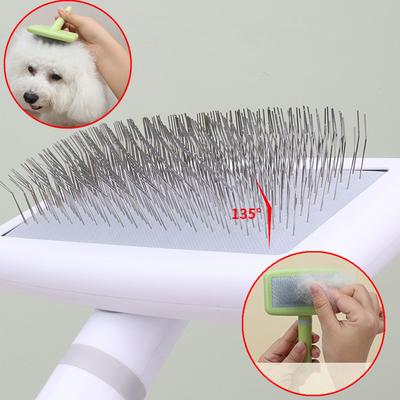 Köpek – Köpek bakım ürünleri
