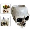 Versatile Storage Skull Candy Dish Decorative Bowl Multipurpose Design Resin Material Seasonal Centerpiece 12*10*9cm