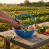 FruitPicking Basket Perforated Fruit Picking Outdoor Gear Carrying Handle Wide Opening Blue M