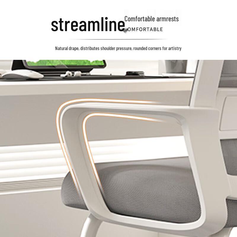 Tianzhen Ergonomic Office and Conference Chair