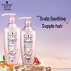 Amino Acid Revitalizing Repair Hair Care Set