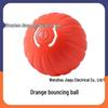 Electric Smart Dog Ball: Bite-Resistant, Wear-Resistant Self-Play Toy
