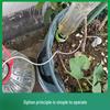 Automatic Drip Irrigation Device for Balcony Plants and Vegetables