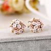 Korean Style Ceramic Rose Stud Earrings and Ear Cuffs
