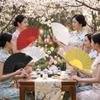 Handheld Plastic Glitter Fan Solid Color Classic Fan Photography Folding Hand Fan  Concerts