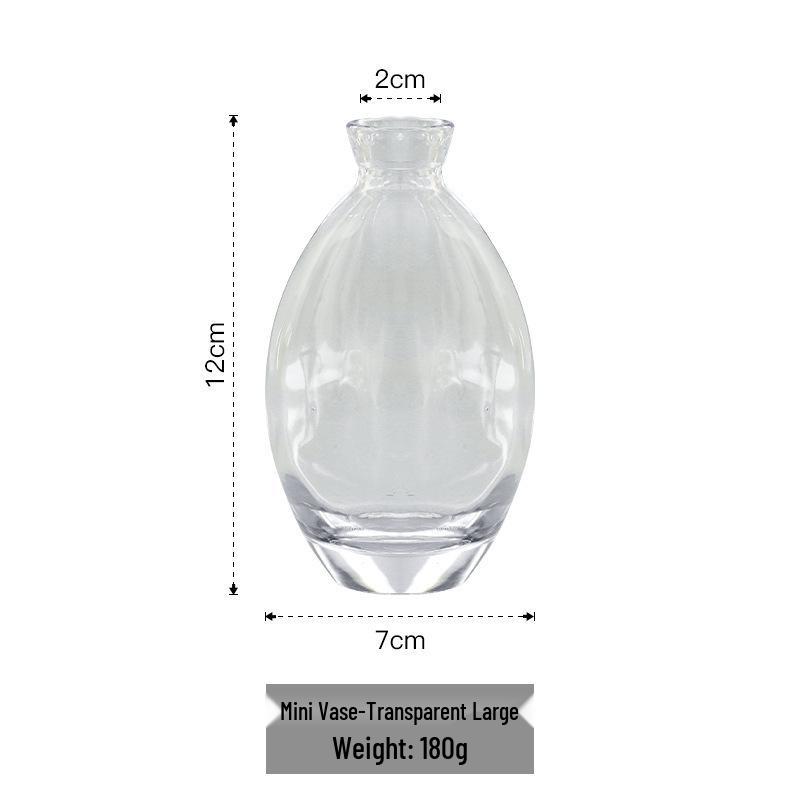 Cross-Border Light Luxury Mini Vase Set: Hydroponic Ornaments for Fresh Flowers in Living Room