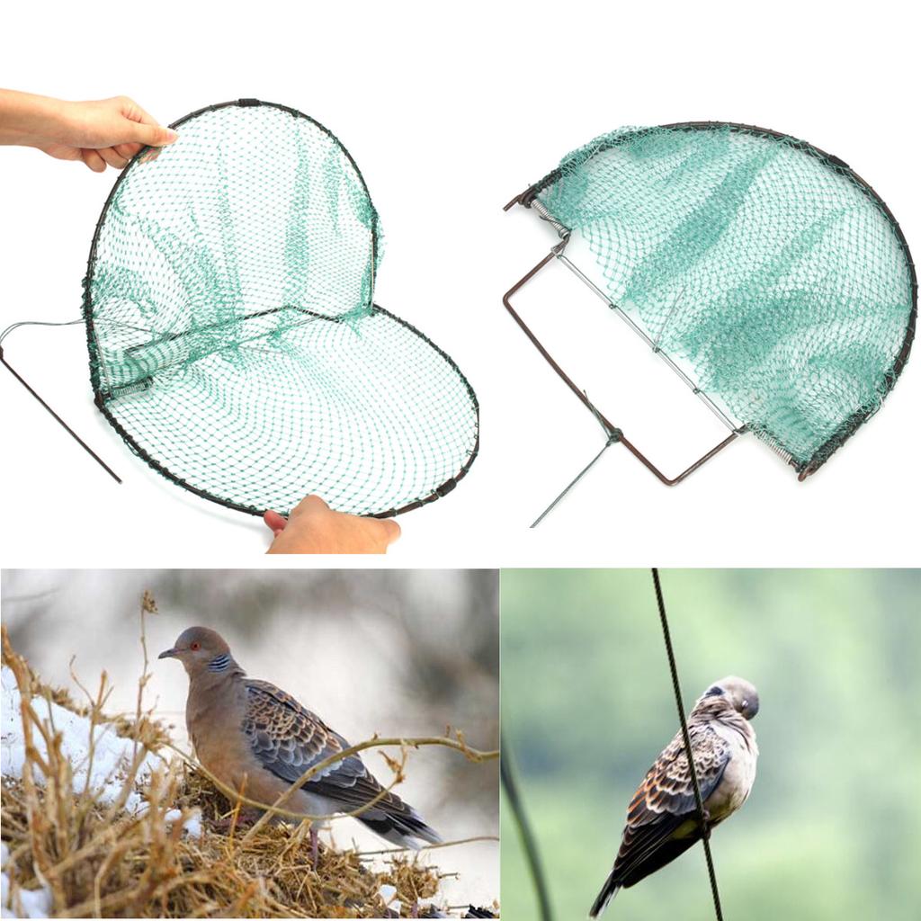 Heavy Duty 300mm 11.8/'/' Sparrow Pigeon Bird Net Mesh Humane Live Trap